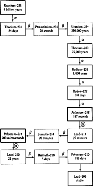 השרשרת של אורניום  U-238